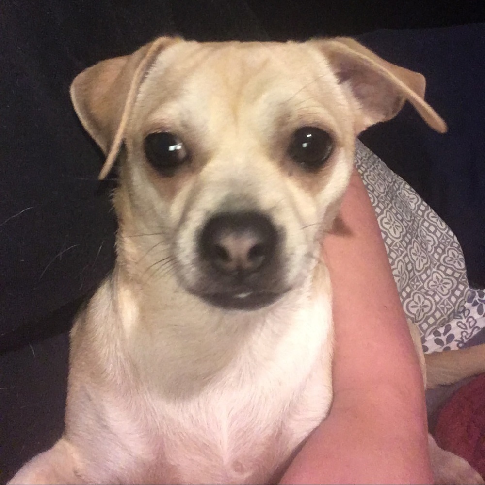 Meet your Posher, Cinthia